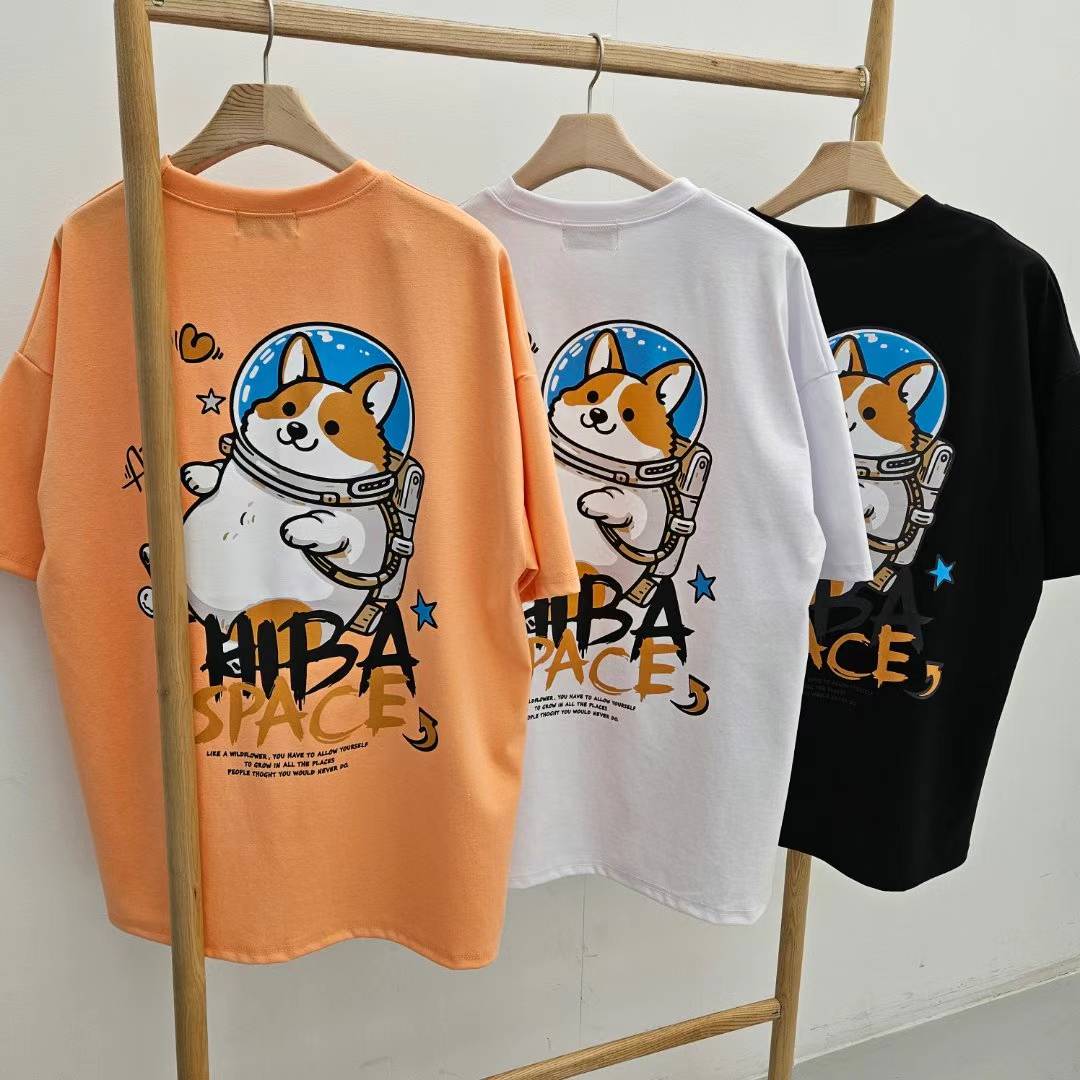 space shiba柴犬